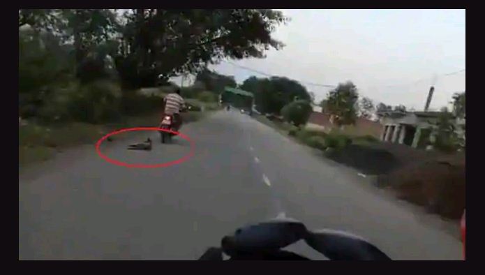 Photo of वीडियो: केरल में हथिनी कांड के बाद यूपी में कुत्ते के साथ जो किया गया उसे देखकर कांप उठेगे आपके हाथ पैर…