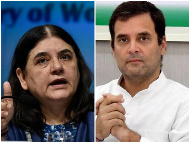 Photo of बीजेपी सांसद मेनका गांधी ने राहुल गांधी पर कसा करारा तंज