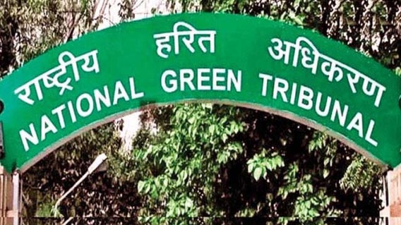 Photo of NGT ने गुजरात की कंपनी यशस्वी रसायन पर लगाया 25 करोड़ रुपये का जुर्माना
