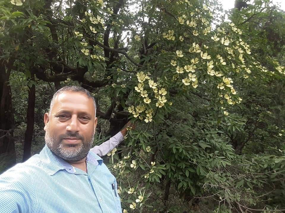 Photo of लोकेंद्र सिंह बिष्ट ने उत्तरकाशी में भमोर यानि हिमालयन स्ट्राबेरी की फसल उगायी