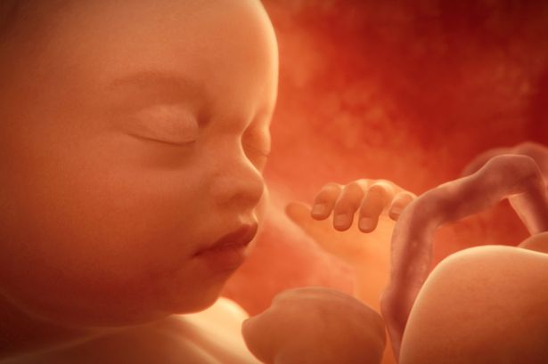 Photo of मां के गर्भ में रहते ही तय हो जाती हैं बच्चो के जीवन से जुड़ी ये बातें…