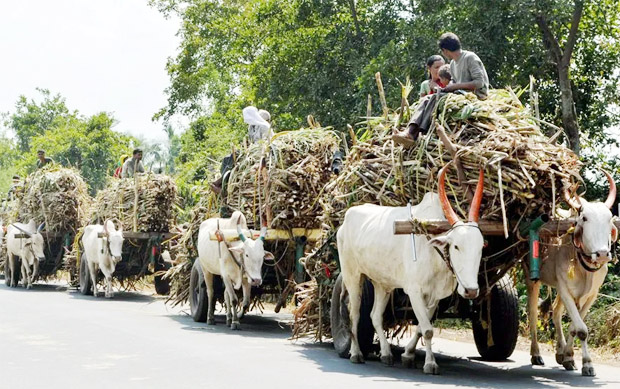 Photo of तो क्या सरकार बढ़ाने वाली है चीनी के दाम