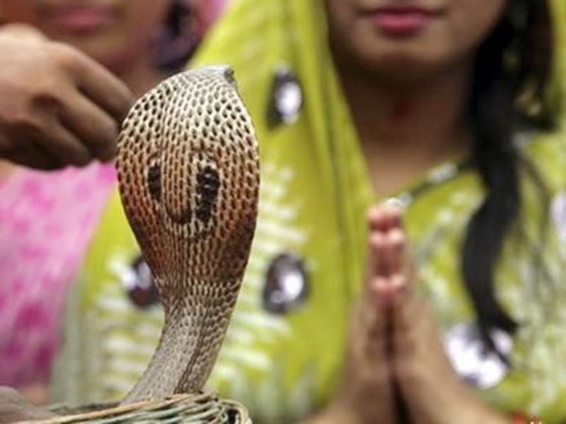Photo of नागपंचमी पर ऐसे करें नाग देवता की पूजा, प्रसन्‍न हो जाएंगे भोलेनाथ