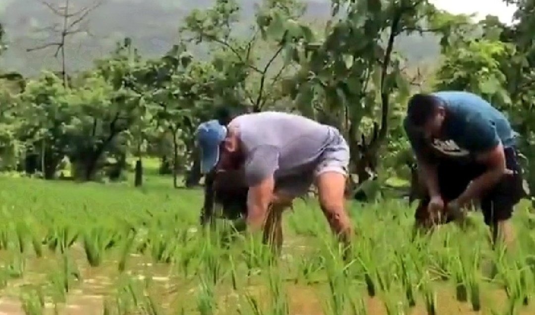 Photo of धान की रोपाई करते नजर आये दबंग खान