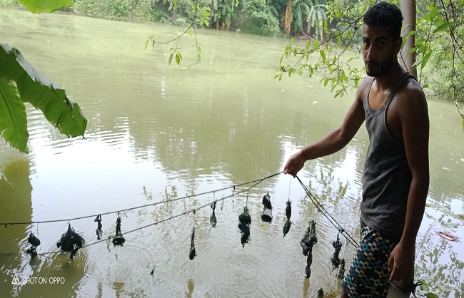 Photo of छोड़ दी सरकारी नौकरी और शुरू की मोतियों की खेती, अब इस शख्‍स की पीएम मोदी ने भी की तारीफ