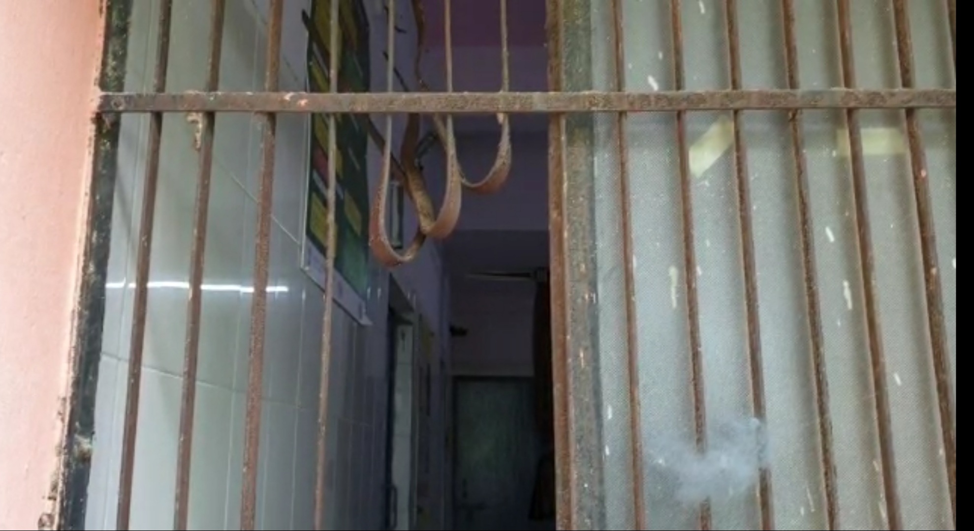 Photo of कोरोना संक्रमित मरीज अस्पताल की ग्रिल तोड़ हुआ फरार
