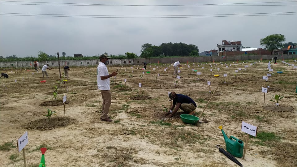 Photo of यूपी के इन शहरों ने बना दिया सबसे बड़ा रिकॉर्ड, एक घंटे में रोप दिए 360 पौधे