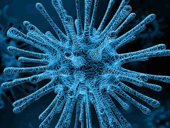 Photo of वैज्ञानिकों ने किया बड़ा खुलासा, पानी से मर सकता है कोरोना वायरस