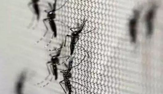 Photo of दिल्‍ली में डेंगू के खिलाफ महाअभियान होगा शुरू, कल सीएम केजरीवाल करेंगे शुभारंभ