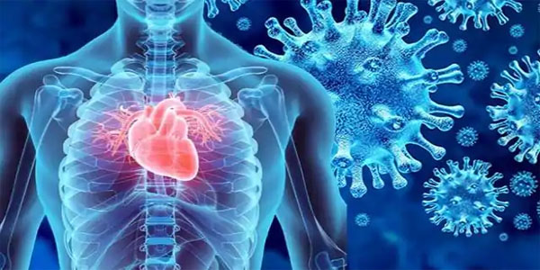 Photo of फेफड़ों के साथ दिल और दिमाग पर भी कोरोना डाल रहा है असर