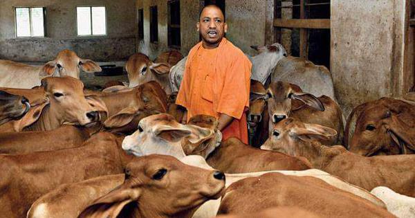 Photo of गोकशी मामला : यूपी में सबसे ज्यादा लोगों पर लगा एनएसए