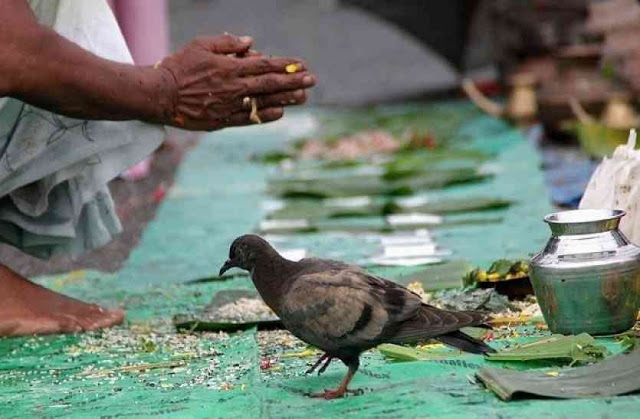 Photo of बुधवार से शुरू हो रहा है पितृ पक्ष, शुभ कार्यों पर लग जाएगा ब्रेक