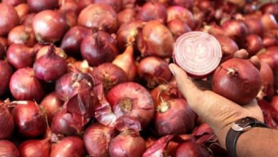 Photo of प्याज की बढ़ती कीमतों को लेकर योगी   सरकार ने उठाया ये… बड़ा कदम