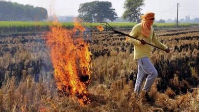Photo of नए कृषि कानूनों को लेकर गुस्से ने भड़काई पंजाब में पराली की आग, तोड़ा 4 सालों का रिकॉर्ड