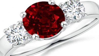 Photo of इस अंगूठी की ​कीमत जान आप भी रह जाएंगे दंग, जानें कितनी है कीमत