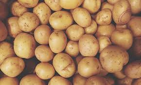 Photo of किसानों पर आया संकट, दोगुना हुआ आलू के बीज का दाम…