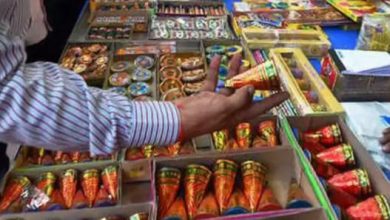 Photo of NGT का बड़ा फैसला: दिल्ली-एनसीआर में 30 नवंबर तक पटाखों पर रोक, इस दिवाली नहीं छोड़ सकेंगे पटाखे