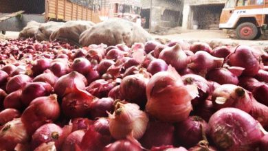 Photo of यूपी: प्याज के बढ़ते दामों को देखते हुए यूपी सरकार ने उठाया बड़ा कदम, तय की भंडारण की सीमा