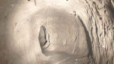 Photo of आंतकियो की एक और साजिश हुई नाकाम, BSF ने खोज निकाली 8 साल पुरानी सुरंग…