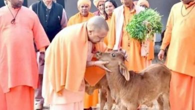 Photo of UP की योगी सरकार राज्य के बेसहारा गोवंश के लिए 16 जिलों में 20 गौ संरक्षण केंद्रों की करेगी स्थापना