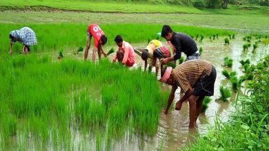 Photo of मध्य प्रदेश के मुख्यमंत्री शिवराज सिंह चौहान ने ‘एमपी किसान एप’ किया लॉन्च, जानिए क्या-क्या मिलेंगी सुविधाएं