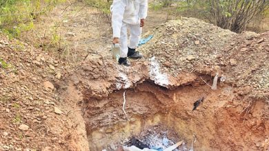 Photo of हिमाचल से एक और खतरनाक महामारी की शुरुआत, अचानक हुई एक हजार मौत…