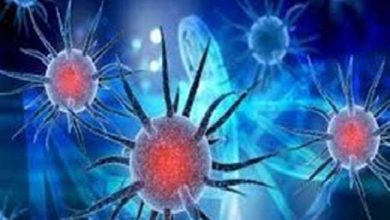 Photo of इस अध्ययन से पता चला है कि संक्रमण से स्वस्थ होने के बाद भी बरकरार रहता है घातक वायरस का खतरा