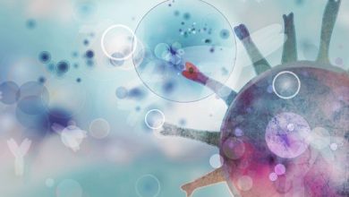 Photo of परिवार कल्याण मंत्रालय के अनुसार बीते 24 घंटे में 13,203 नए कोरोना केस, माैतों का आंकड़ा हुआ 1,53,470