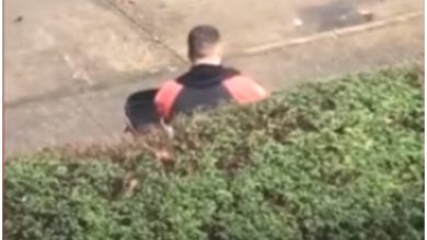 Photo of ऑर्डर कैंसिल कर डिलीवरी ब्वॉय खुद खाने लगा खाना, वीडियो हुआ वायरल