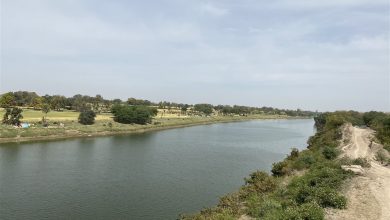 Photo of देश के इस हिस्से में नदी से निकल रहे हैं सोने के सिक्के, सैकड़ो लोगों ने…