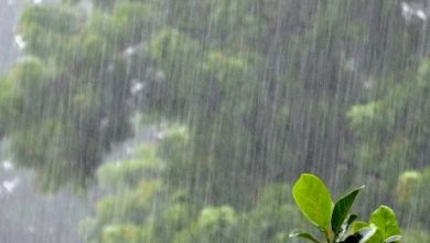 Photo of मौसम का बदला अचानक रुख तेज हवाओं के साथ हुई बारिश, यूपी में आज हो सकती हैं भारी बारिश