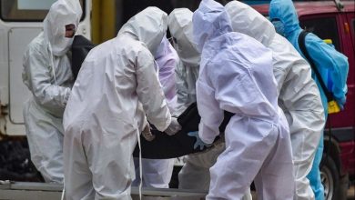 Photo of फ्रांस में बीते 24 घंटों में कोरोना से 439 लोगों की मौत, 80 हजार के पार हुआ मरने वालों का आंकड़ा