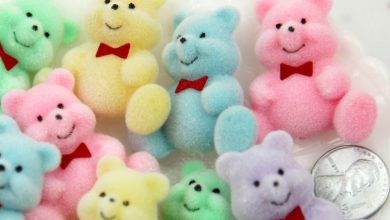 Photo of आइए जानते हैं टेडी बीयर के रंग में  छुपा होता है ये संदेश, पढ़े पूरी खबर