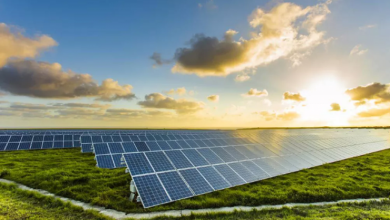 Photo of IIT खड़गपुर के शोधकर्ताओं नेछोटे कृषि क्षेत्रों के लिए सौर ऊर्जा संचालित कीट नियंत्रण प्रणाली को किया विकसित