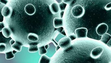 Photo of बीते 1 वर्ष से भी अधिक समय से कोरोना के कहर से लड़ रही पूरी दुनिया, जाने क्या है इन शहरों का हाल