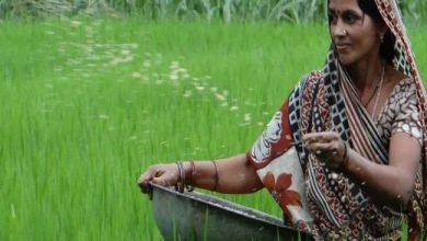 Photo of कोरोना काल में वित्‍तमंत्री द्वारा पेश किये गये इस अहम बजट में खेती-किसानी पर दिखाई मेहरबानी