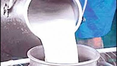 Photo of अब पेट्रोल-डीजल के बाद 1 मार्च से 100 रुपये प्रति लीटर बिकेगा दूध…