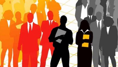 Photo of केंद्र सरकार की पहल पर जुड़ेंगे देशभर के सेवायोजन कार्यालय, UP में बेरोजगारों को मिलेंगे नौकरी के अधिक अवसर