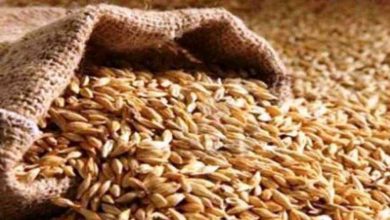 Photo of धान क्रय केन्द्र पर शिकायत मिलने पर जिलाधिकारी की होगी जिम्मेदारी