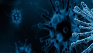 Photo of मुंबई के धारावी में तेजी से फ़ैल रहा कोरोना संक्रमण, बीते 22 से अब तक 7 गुना इजाफा