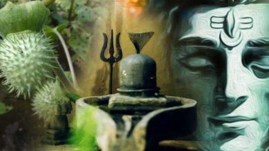 Photo of जाने क्यों भांग-धतूरा ही चढ़ता है भगवान शिव को…..