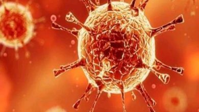 Photo of कोरोना के कहर के चलते 30 अप्रैल तक के लिए लिया गया ये बड़ा फैसला, हर किसी के लिए जानना बेहद जरुरी…