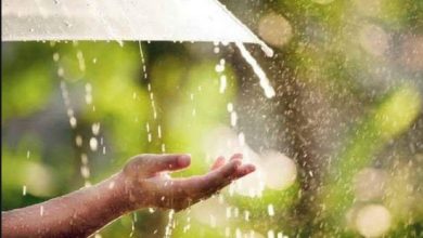 Photo of मौसम विभाग की बड़ी चेतावनी, इन राज्यों में 24 घंटे में बारिश के आसार…