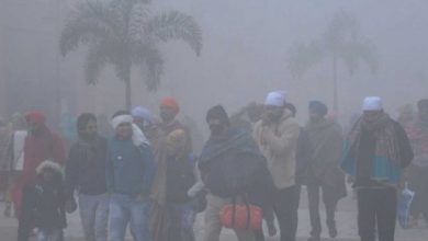 Photo of वैज्ञानिक भी हुए हैरान, इंडोनेशिया में अचानक हुई 167 की मौत…