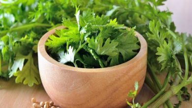 Photo of आपकी सेहत के लिए किसी औषधि से कम नहीं हैं   धनिया, इन बीमारियों में है बेहद कारगर