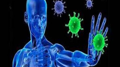 Photo of आपकी इम्यूनिटी सिस्टम को बर्बाद कर सकती हैं ये 10 चीजें…