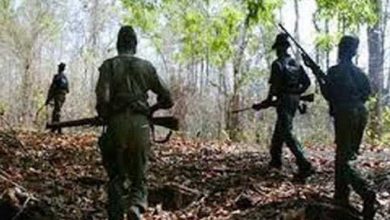 Photo of नक्सलियों के साथ हुई मुठभेड़, पांच जवान हुए शहीद 21 जवान अब भी लापता…