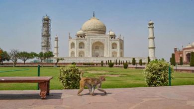 Photo of पूरे यूपी में रविवार को लॉकडाउन, मास्क नहीं पहनने पर 10,000 रुपए जुर्माना