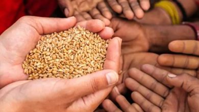 Photo of सरकार ने शुरू की ये खास योजना, अब घर बैठे ऐसे आएगा राशन…