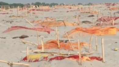 Photo of प्रयागराजः गंगा किनारे फिर मिलें दफनाये गए दर्जनों शव, शवों के ऊपर से हटाई गईं चादरें